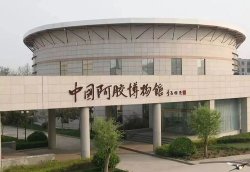 阿胶世界 一场中医药养生的文化之旅